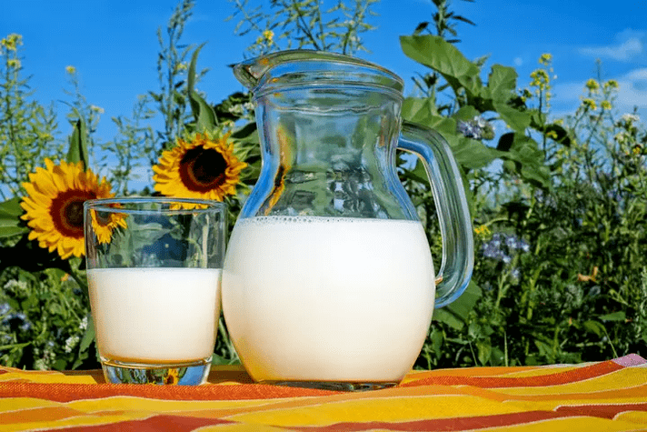 Le lait est un aliment de base du régime Dukan. 